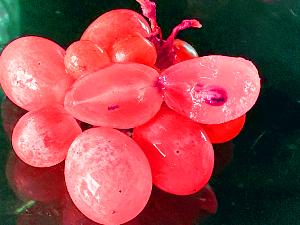 Les précieux anti-oxydants du raisin 